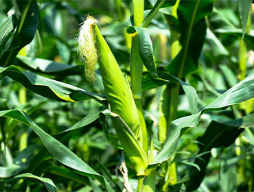 recent-facilities-img-2