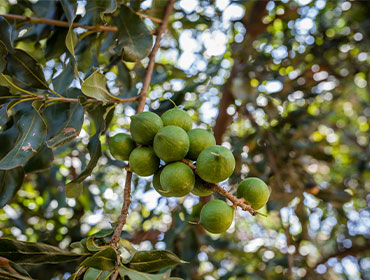 recent-facilities-img-5